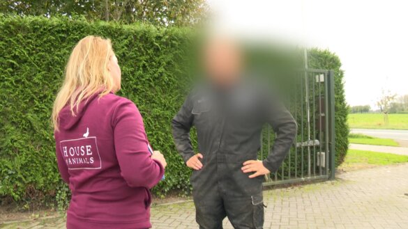 Handhaving tegen hondenfokker in Chaam gestart