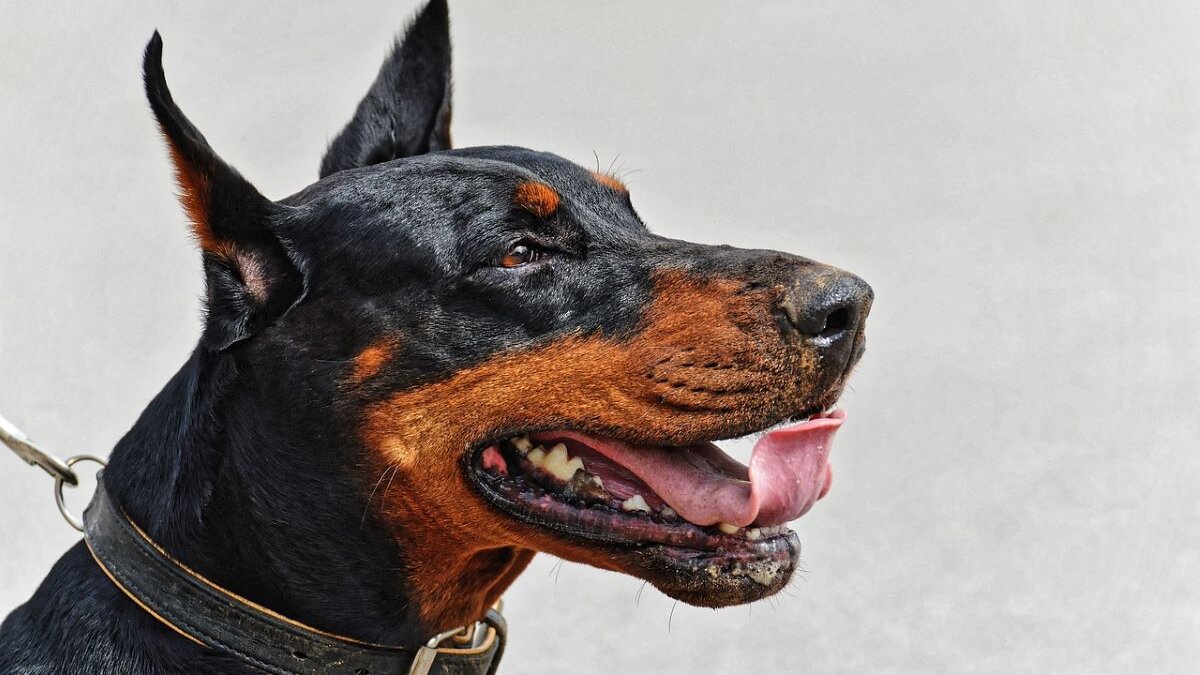 cosmetische ingrepen