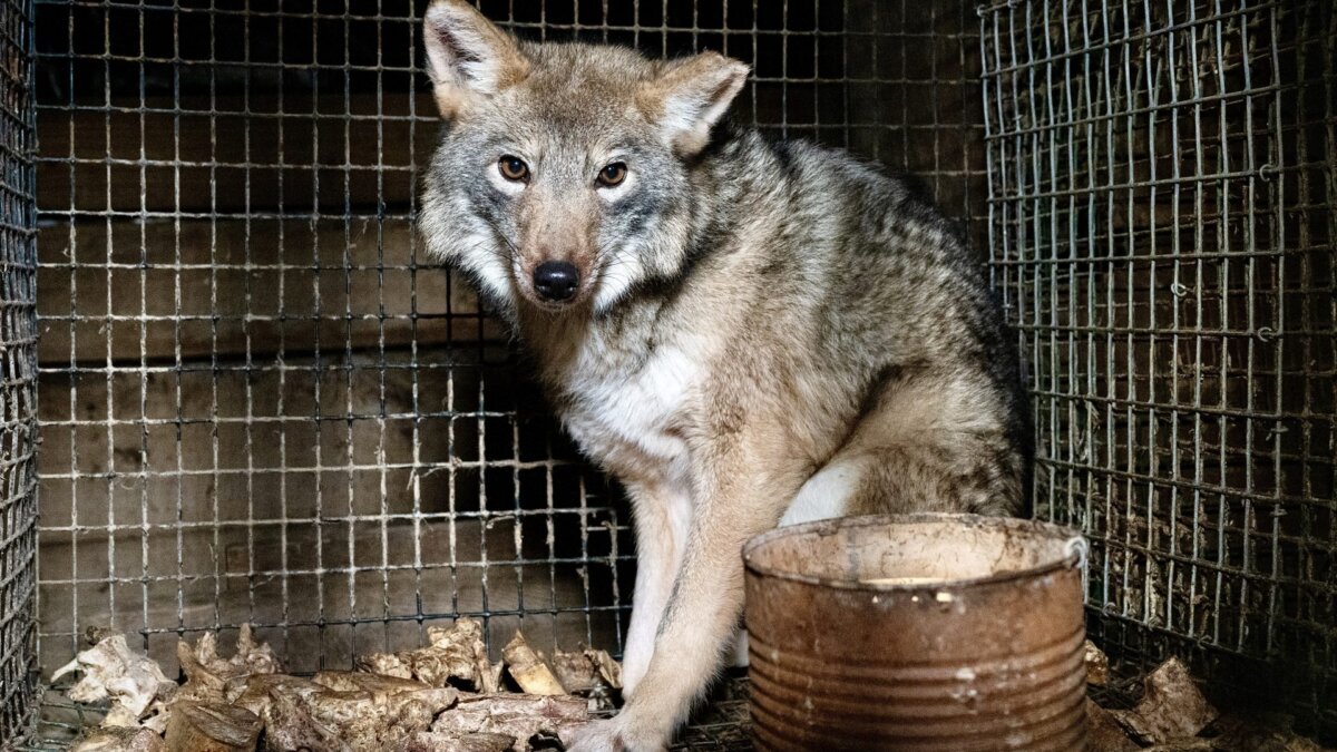 in Ohio Massachusetts