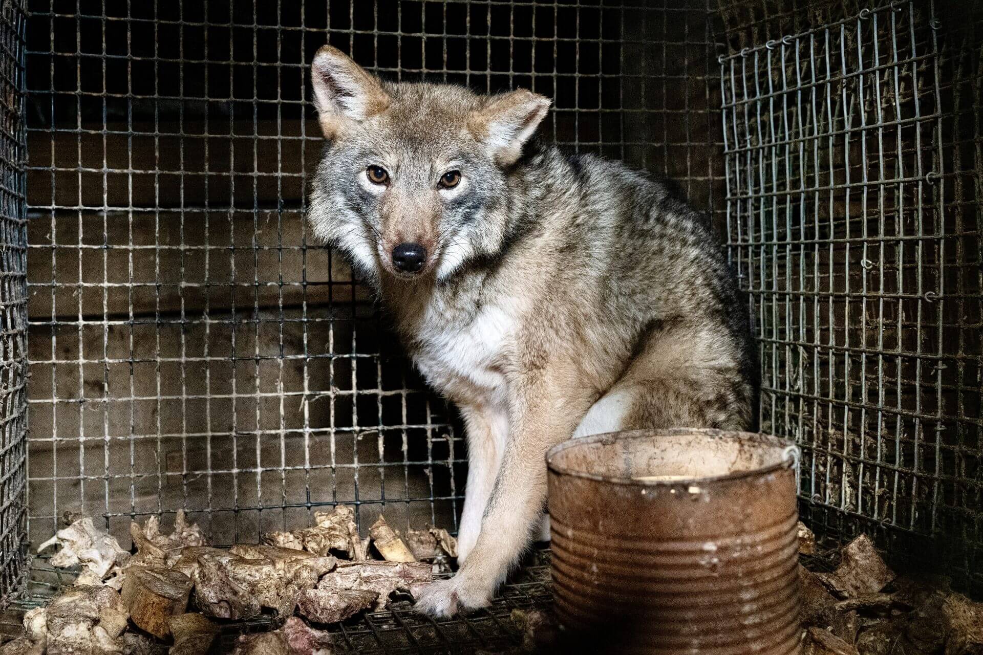 in Ohio Massachusetts