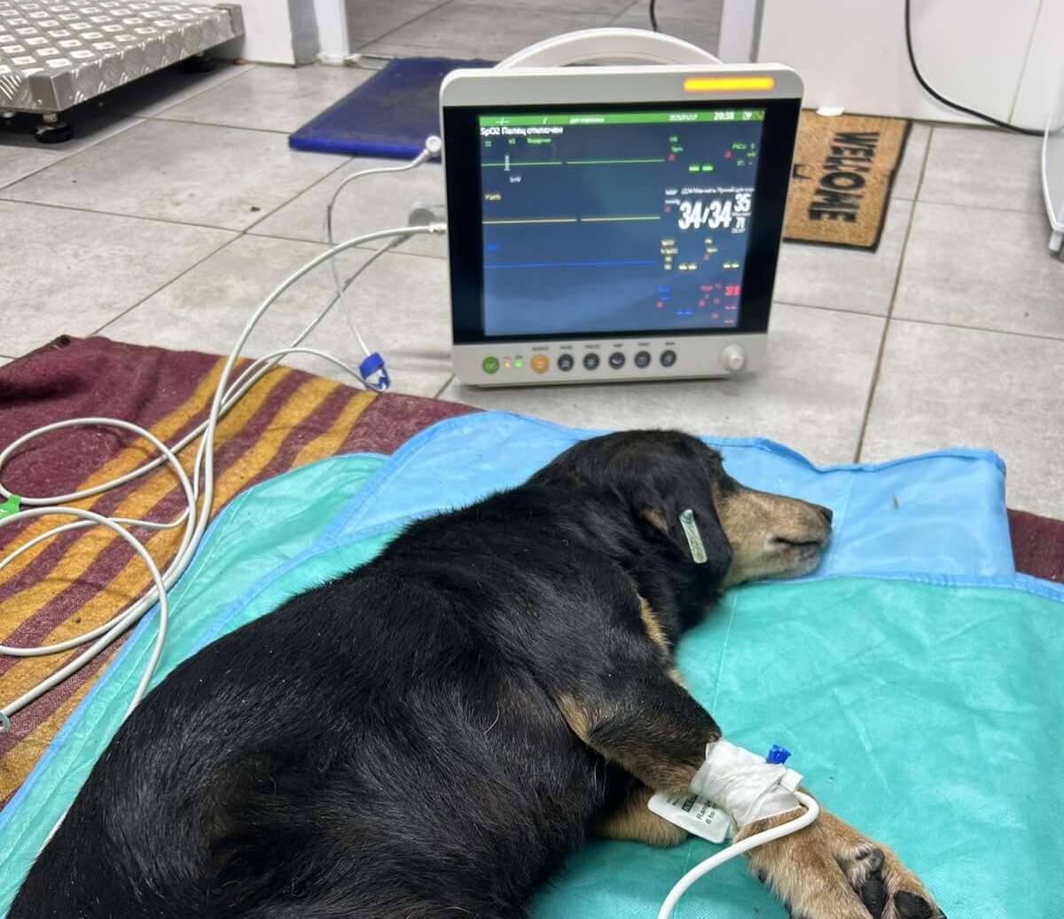 Patiënt van Lucy’s noodhospitaal in Oekraïne