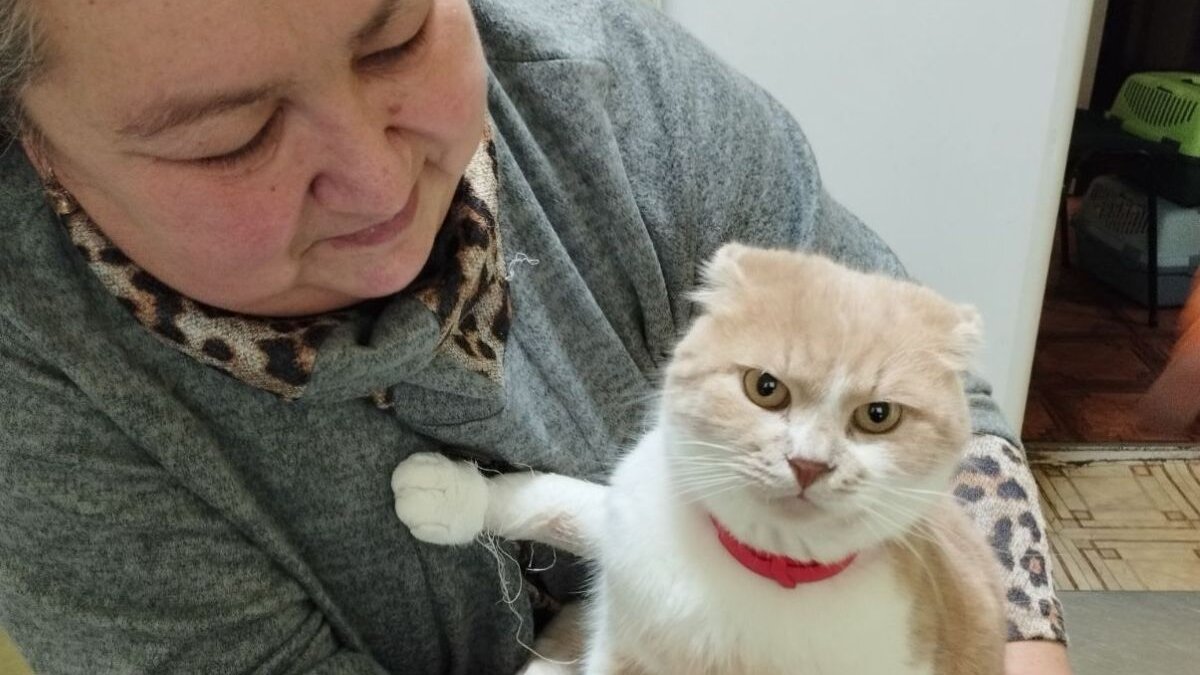 Sterilisaties en voer