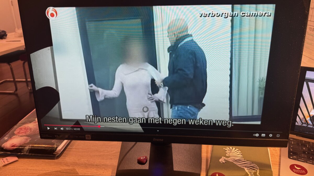 Rot in het broodfokvak nu eindelijk gestopt