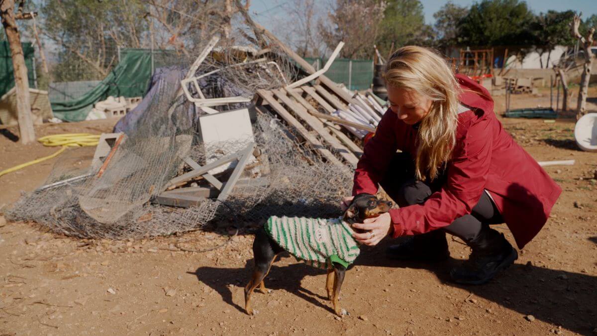 Noodhulp voor dieren na overstromingen in Valencia