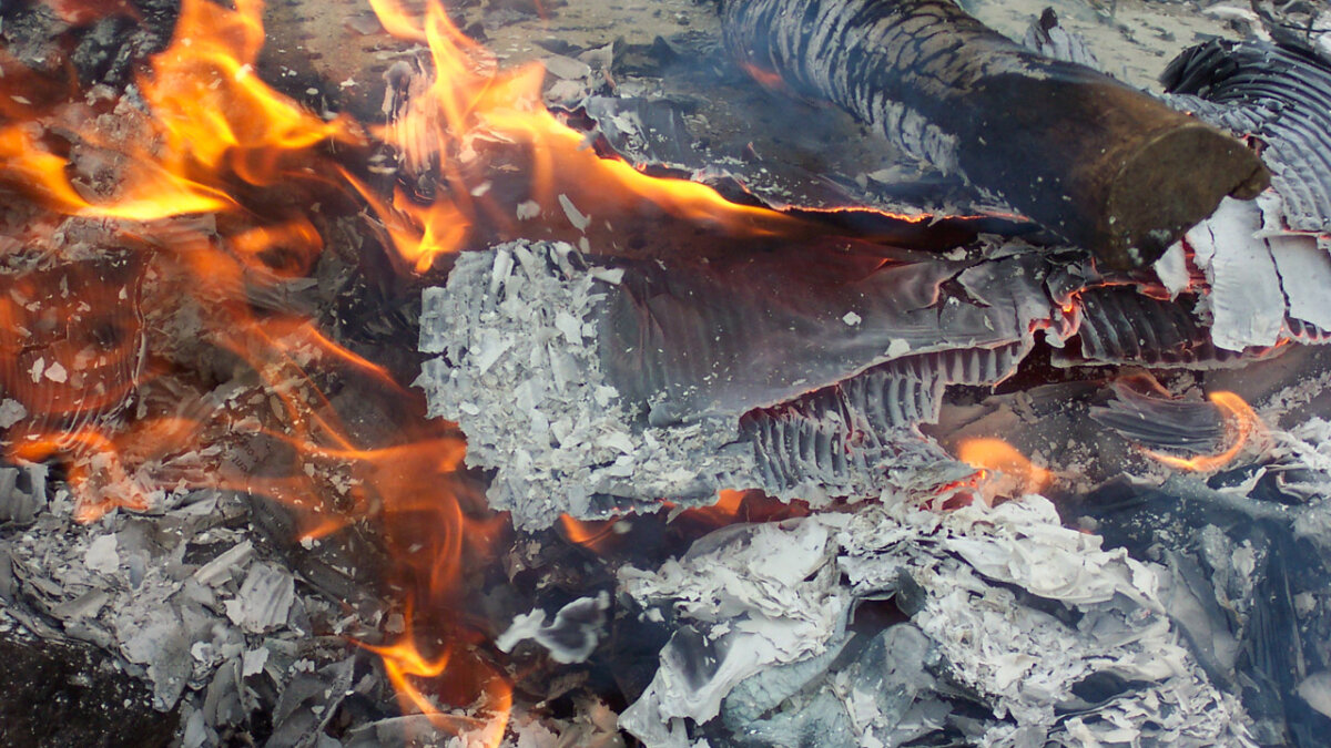 Evenveel stalbranden maar meer dode dieren in 2024