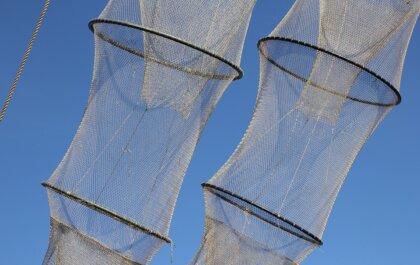 Illegale fuiken bij Lauwersmeer