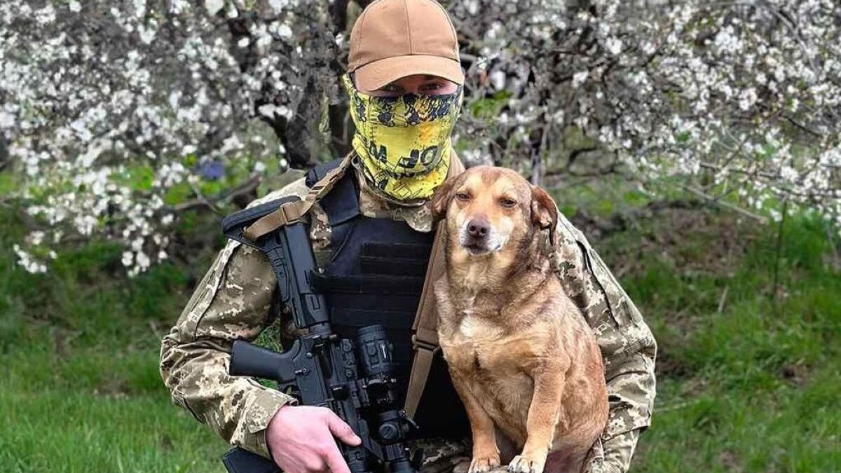 Oekraïense soldaten redden honden en katten, en steunen de adoptiecampagne van City of Dogs.