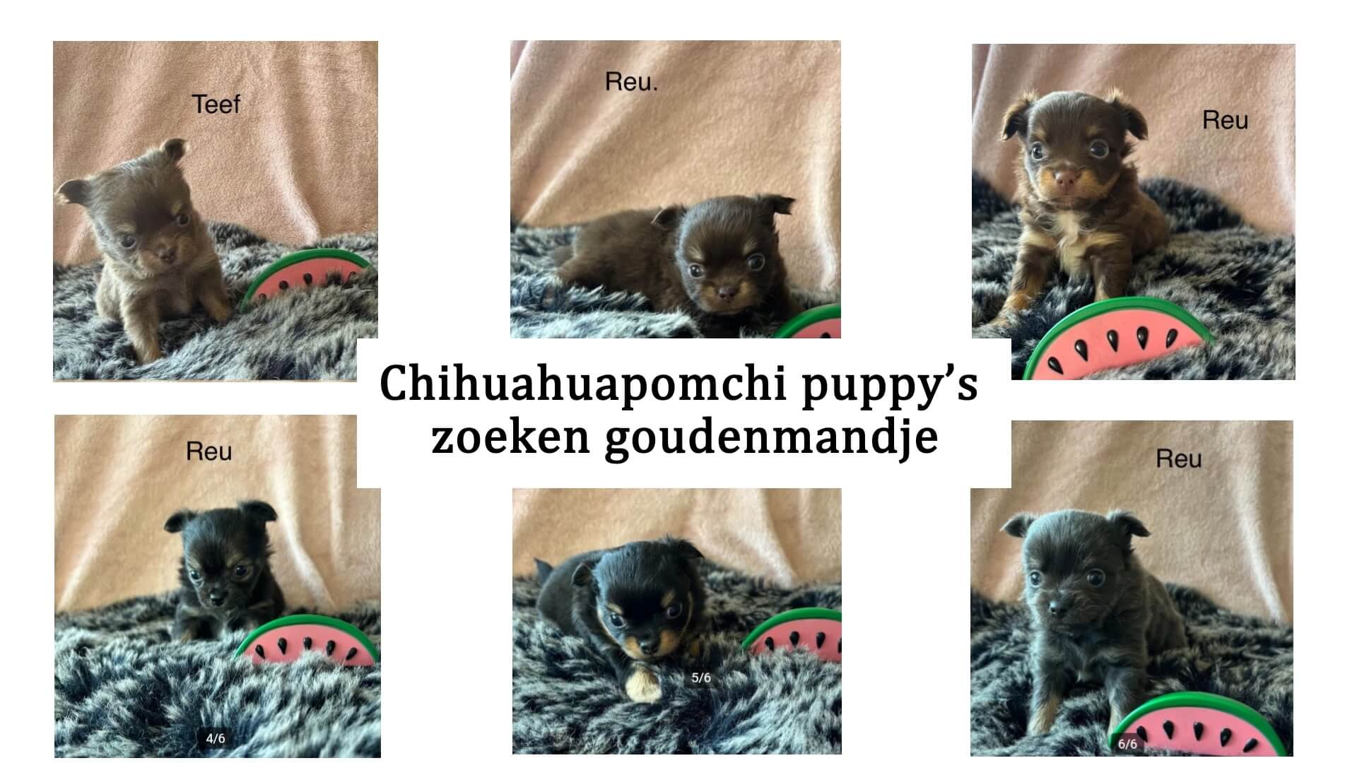 Houdverbod faalt als straf