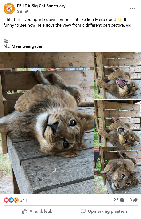 FELIDA Big Cat Sanctuary/Facebook Mero