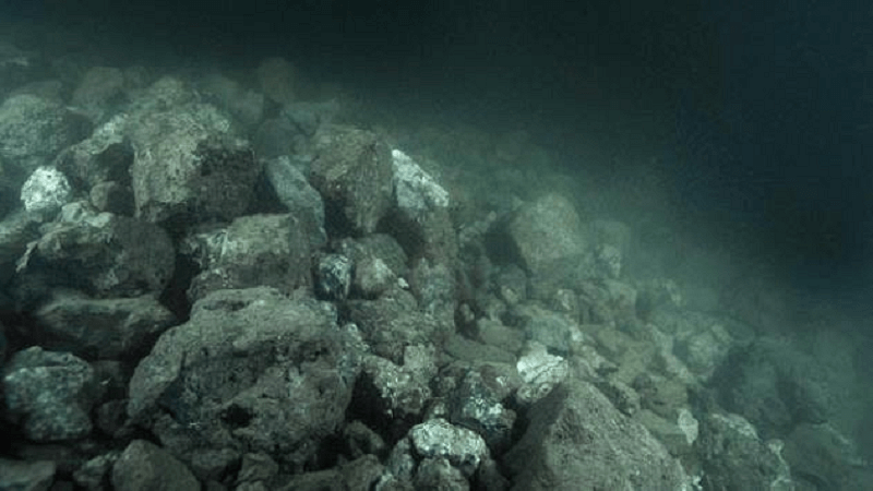 De Tata-slak is een vernietigende 'exoot' 