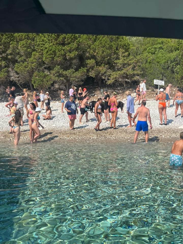 Griekse strandvarkens als toeristische attractie