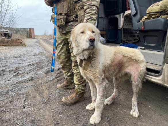 Gevaarlijke en barre winter nadert in Oekraïne