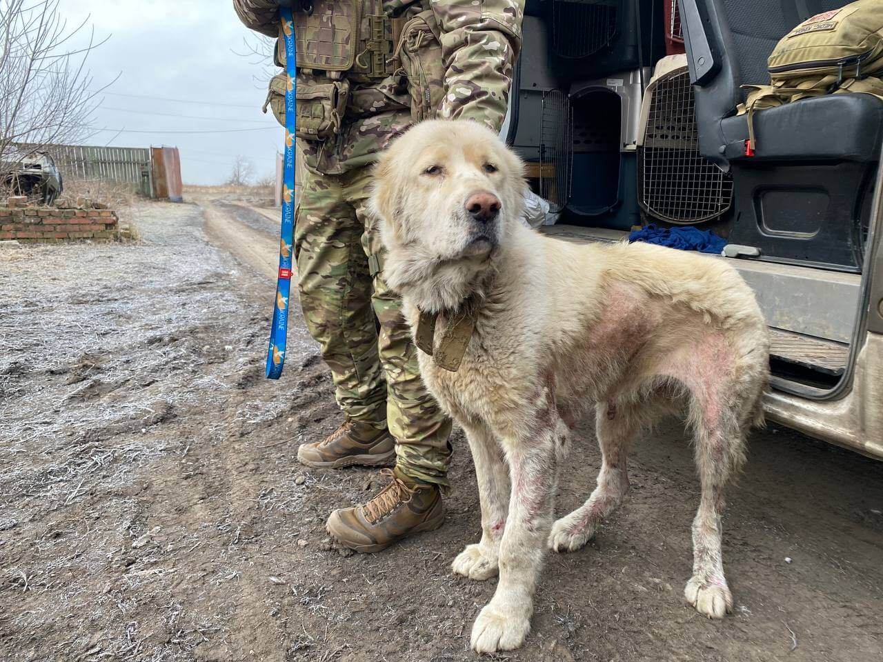 Gevaarlijke en barre winter nadert in Oekraïne