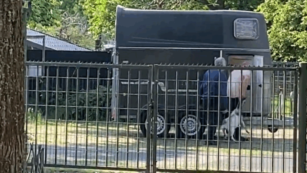 Dierenmishandeling op kinderboerderij Wilhelminapark in Best