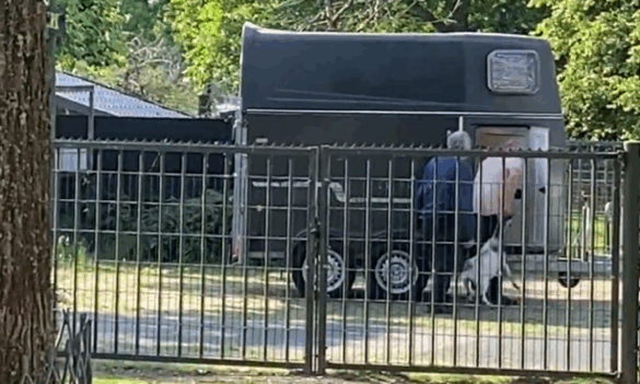 Dierenmishandeling op kinderboerderij Wilhelminapark in Best