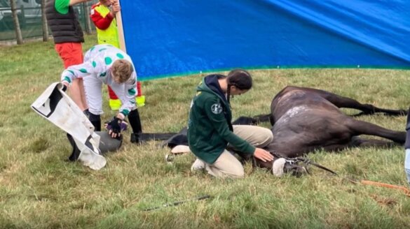 Twee paarden sterven tijdens Waregem Koerse (B)