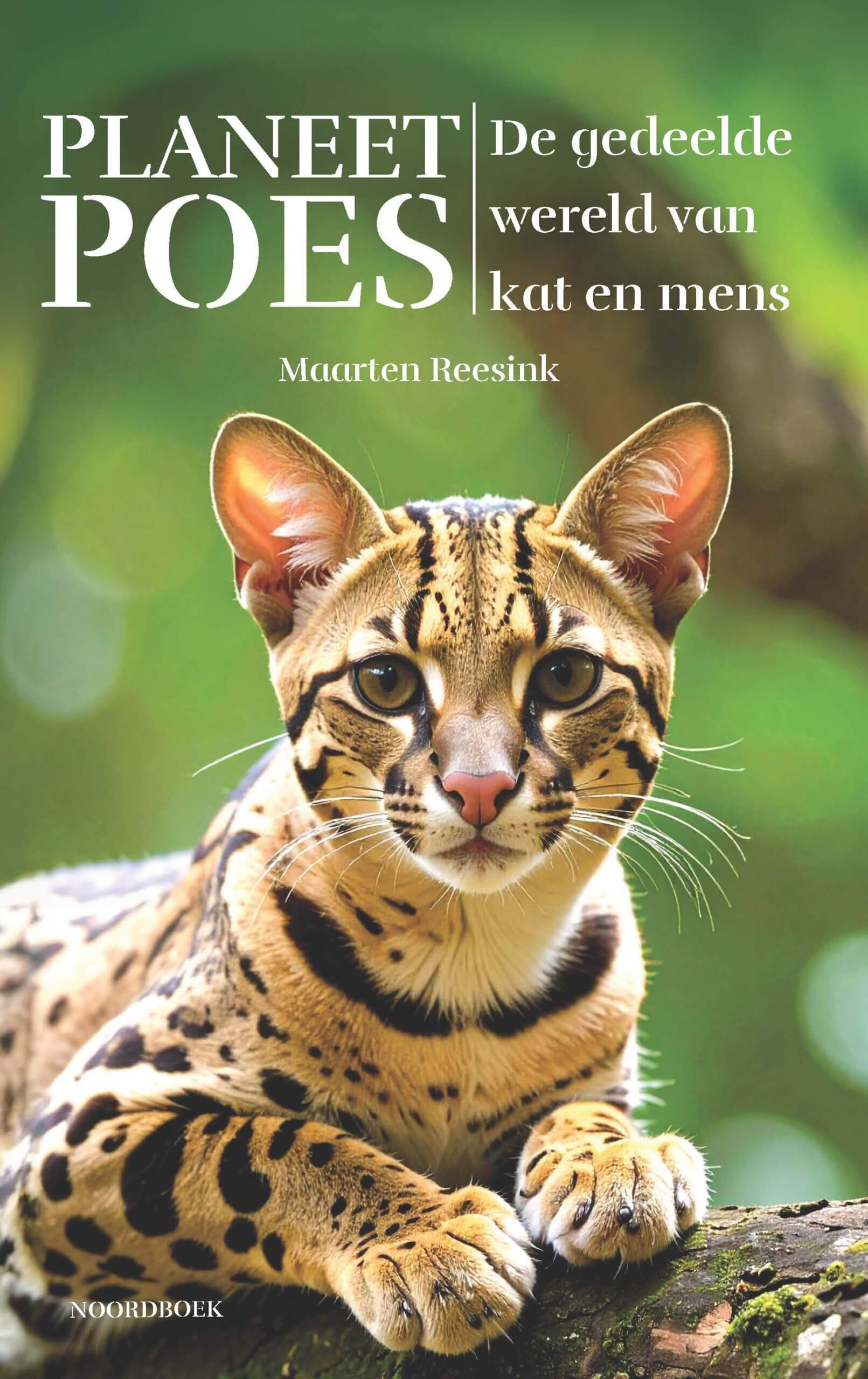 Planeet Poes