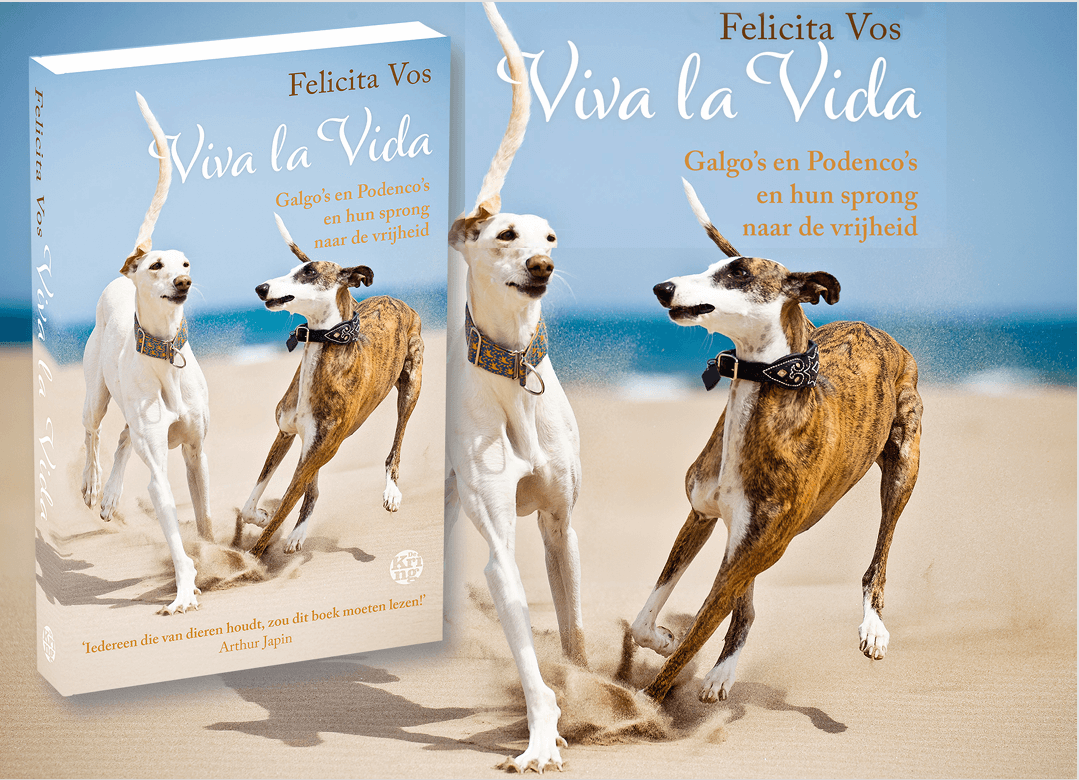Viva la Vida: een stem voor de Galgo’s en Podenco’s