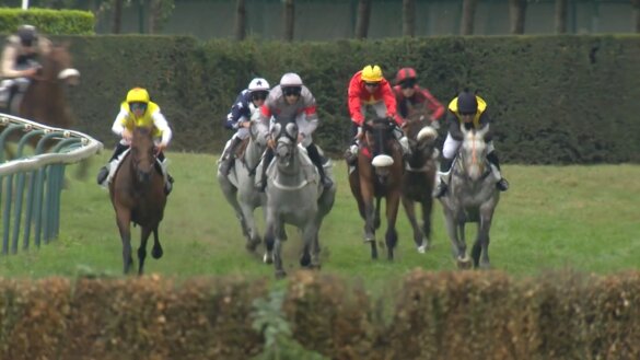 Voor paarden dodelijke ‘Ierse Berm’ en ‘Open Ditch’ uit Waregem Koerse