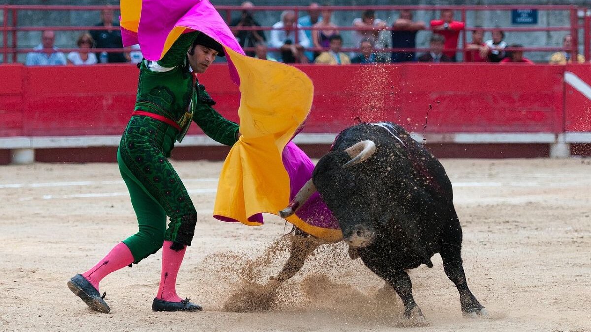 Stierenvechten blijft cultureel erfgoed in Spanje