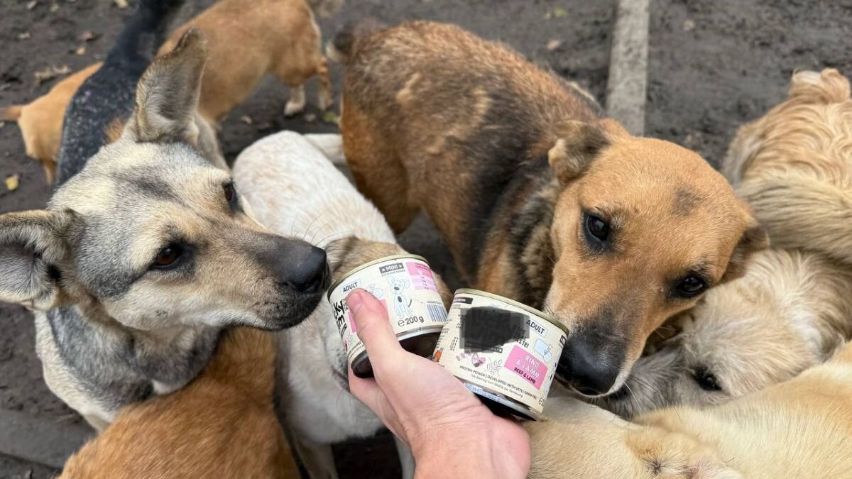 Winter is coming! Brandhout en voer voor Oekraïense shelters