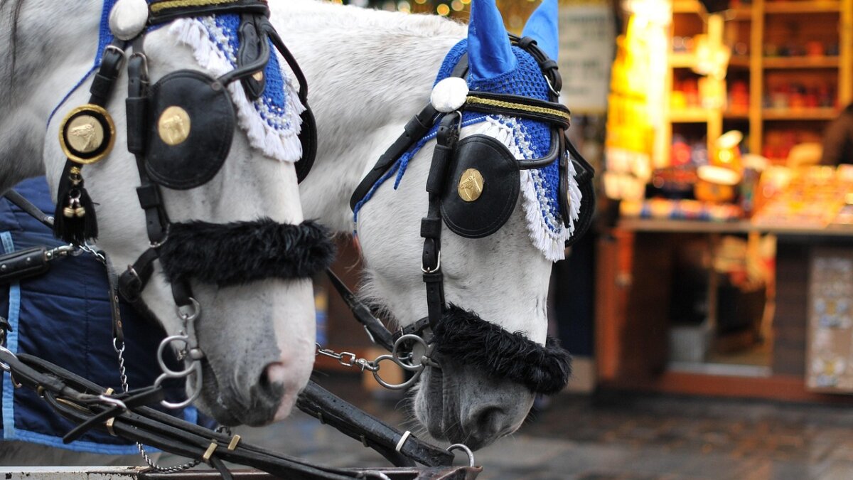 Einde aan paardenkoetsen in historisch centrum Praag