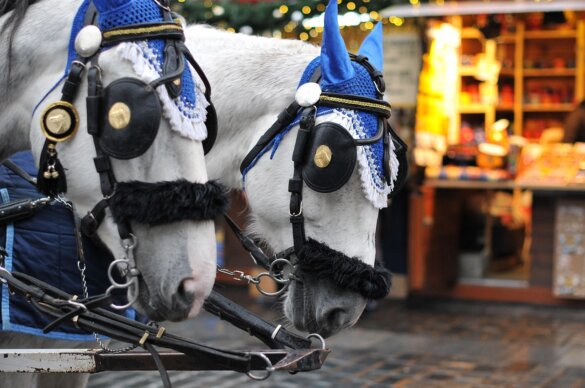 Einde aan paardenkoetsen in historisch centrum Praag