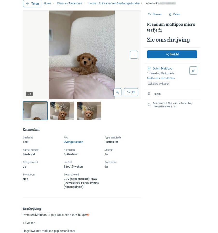 Advertentie voor hondje van 13 weken