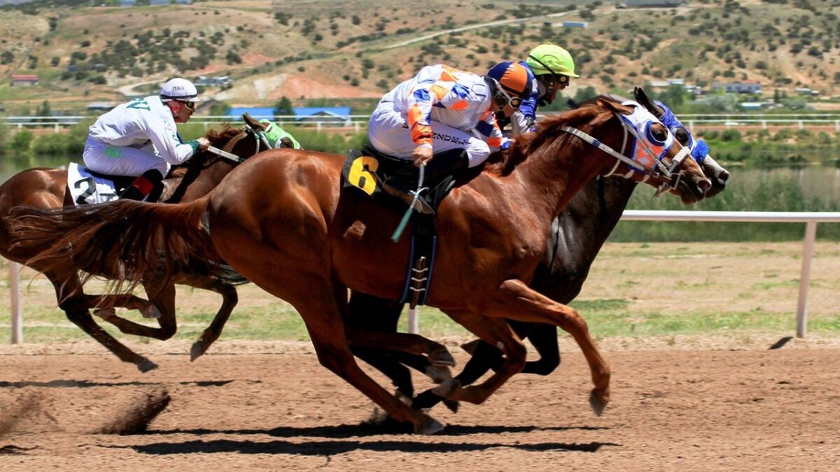 Recordaantal paarden omgekomen tijdens races in Australië