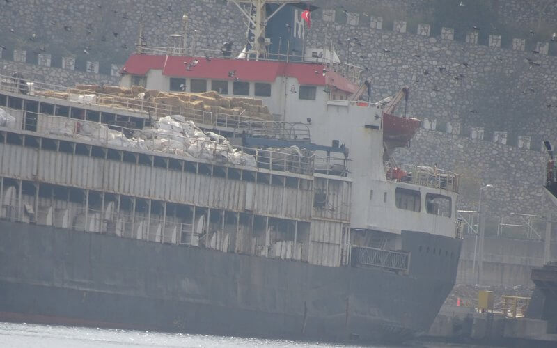 48 dieren gestorven op vrachtschip nadat Turkije toegang weigert