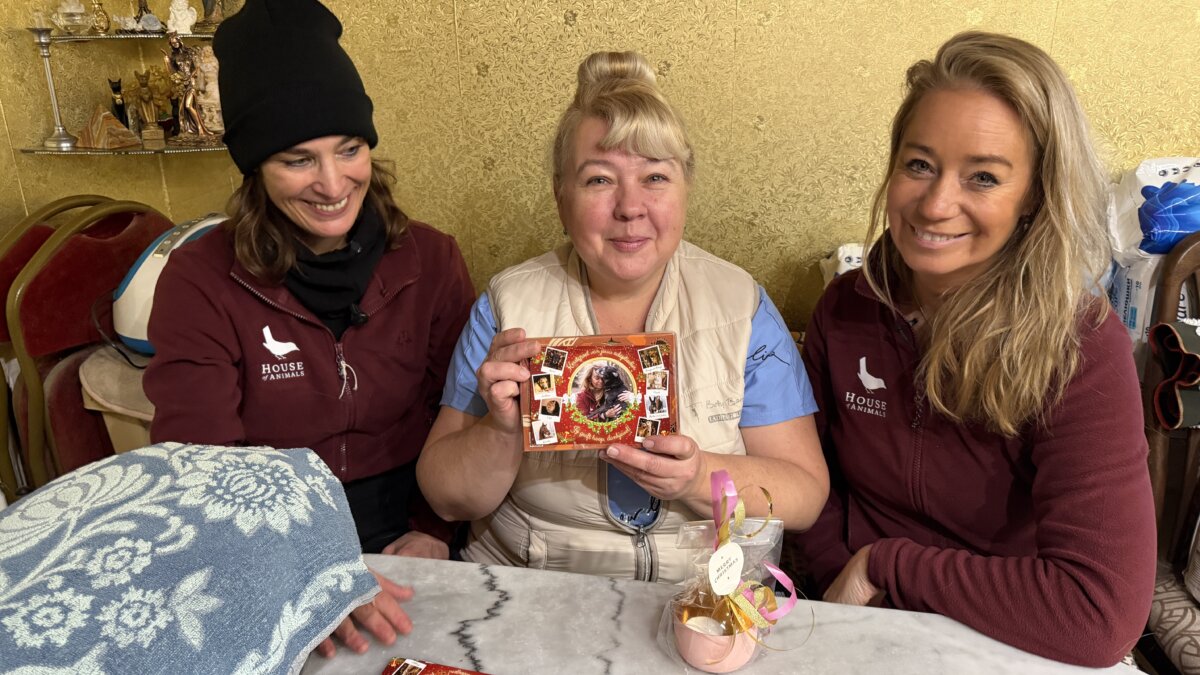 House of Animals bij Tanya van Myav-Gav in Dnipro