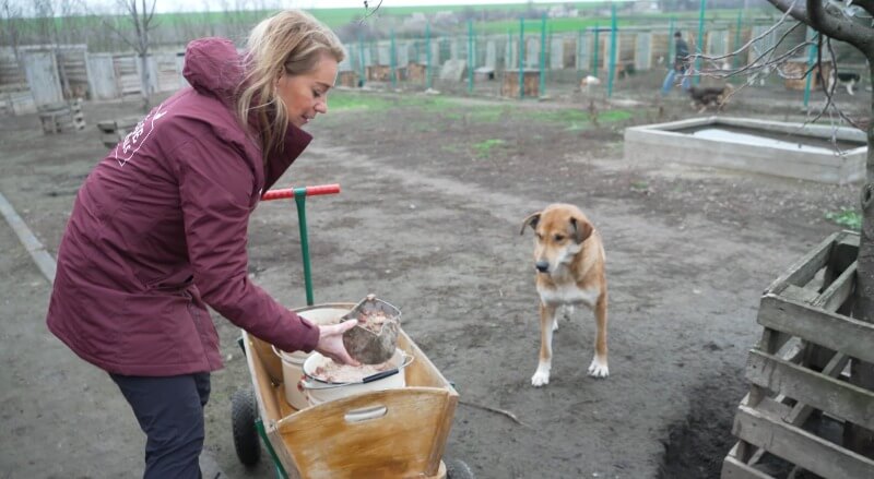 Karen Soeters brengt eten rond uit de crisiskeuken | Foto: House of Animals