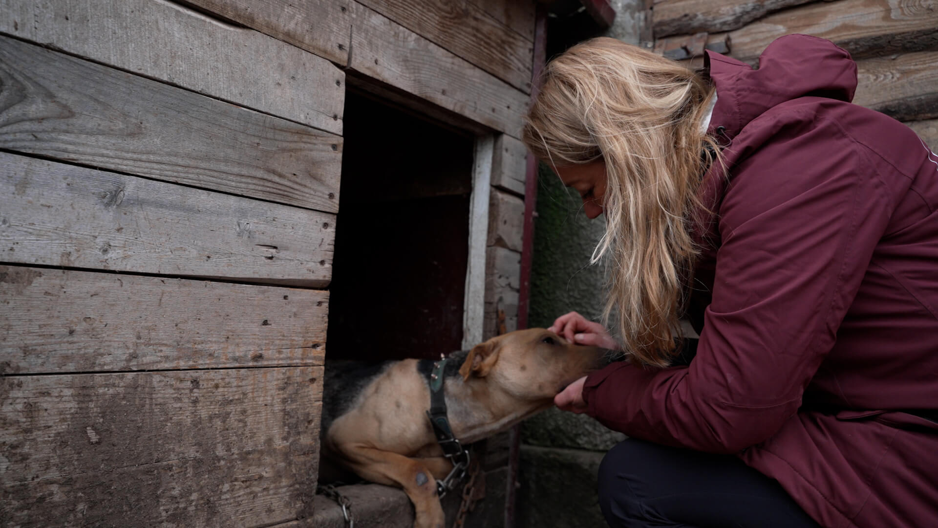Karen en hond Tina bij opvang Pegasus