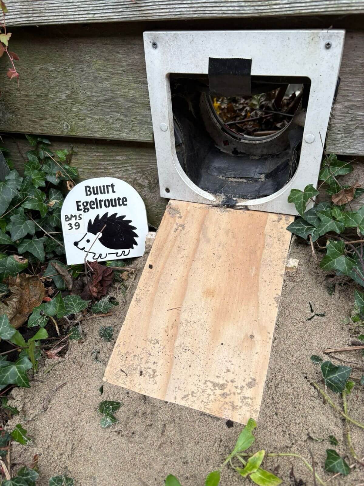 Kattenluikje met plankje