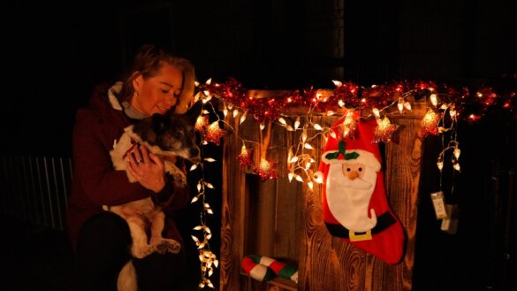 Nederlands kerstdorp voor oorlogsdieren geopend in Oekraïne | Foto: House of Animals