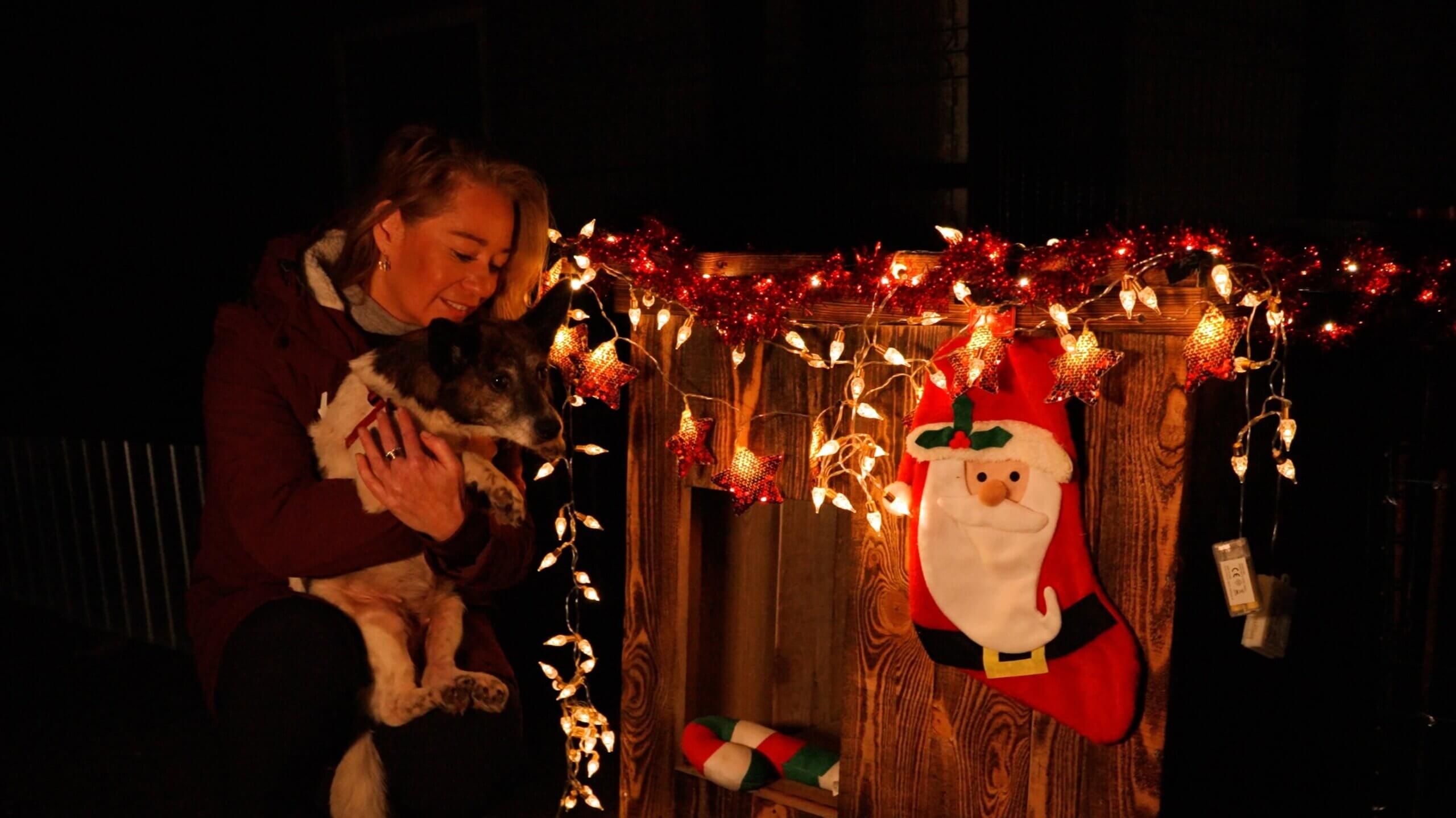 Nederlands kerstdorp voor oorlogsdieren geopend in Oekraïne | Foto: House of Animals