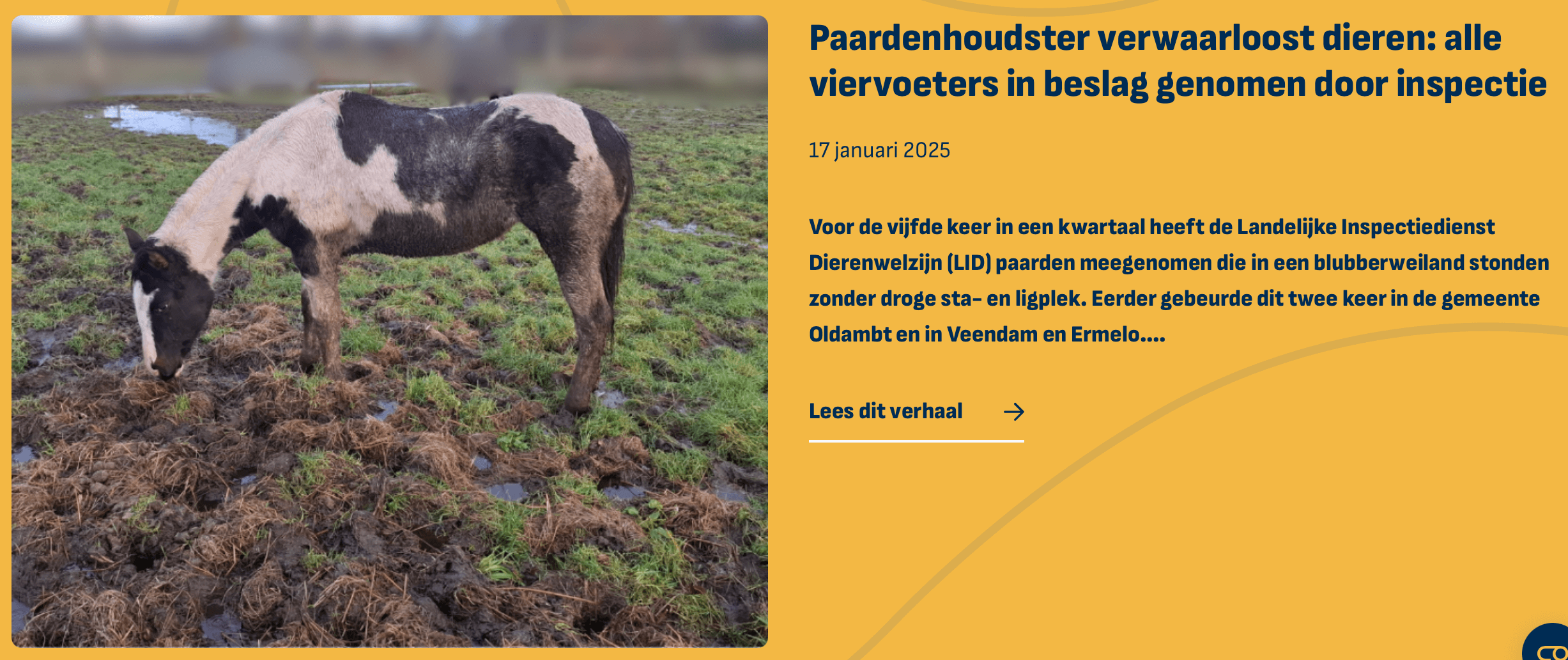 screenshots website LID