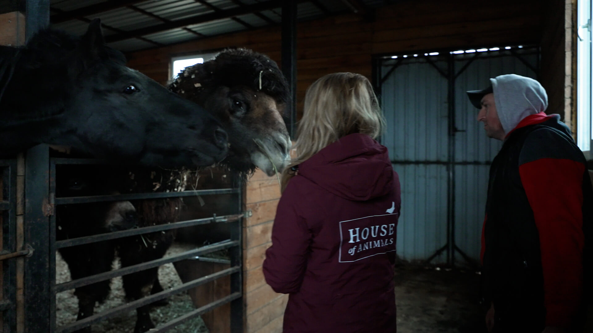 Karen en Vasyl bij Yasha en Masha