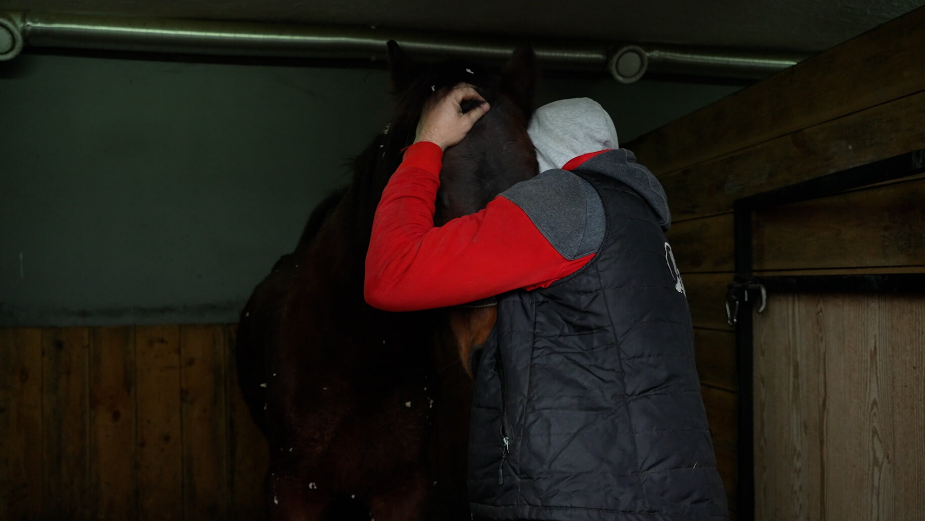 Vasyl praat met paarden