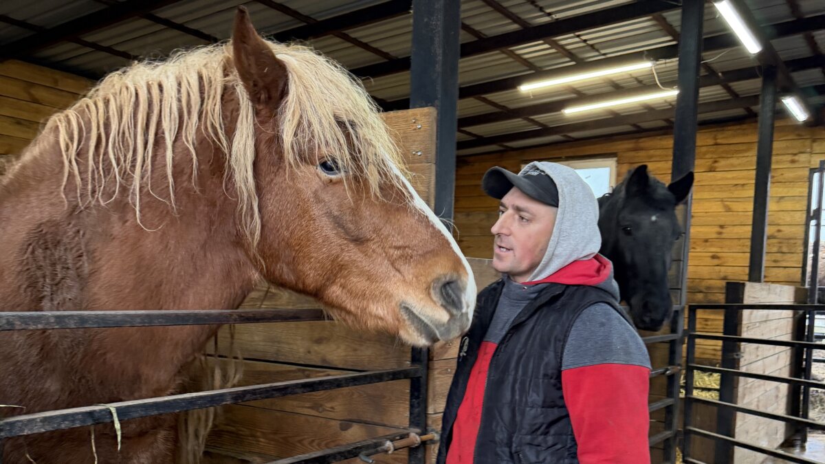 Vasyl praat met paarden