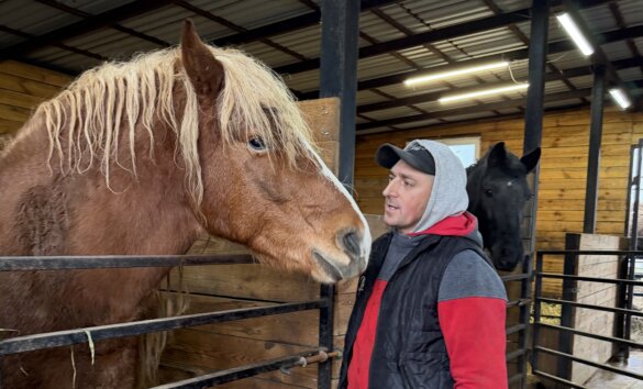 Vasyl praat met paarden