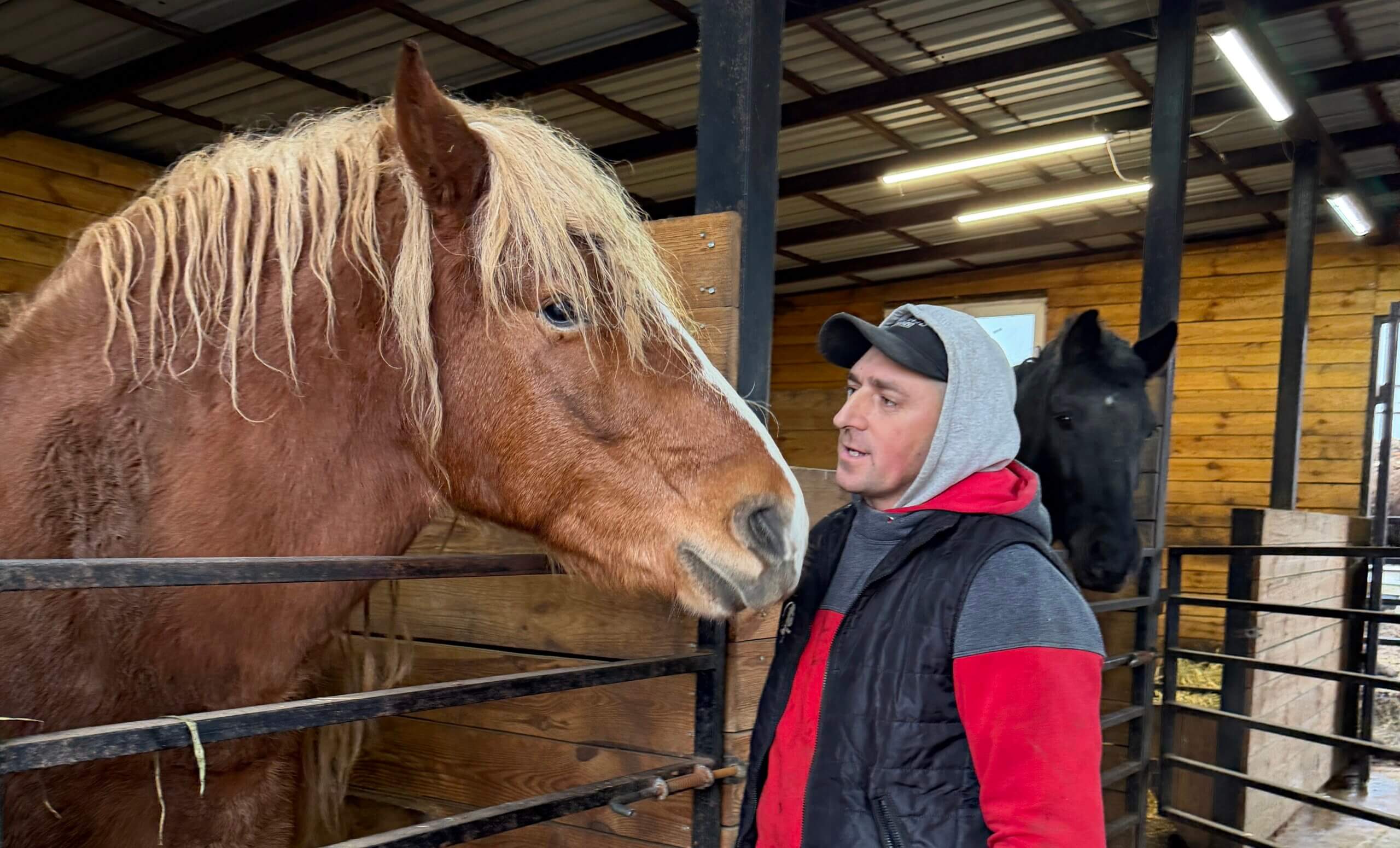 Vasyl praat met paarden