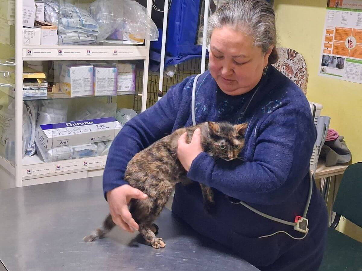 Ene zorgt voor oorlogsdieren uit de Oekraïense frontlinie