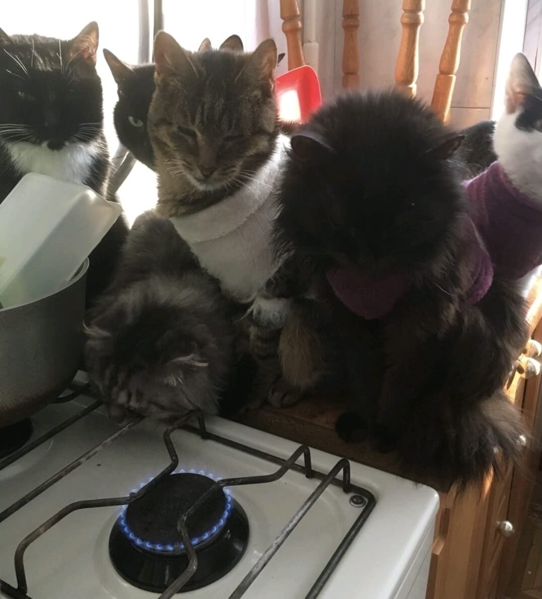 Steeds weer nieuwe hoop op vrede