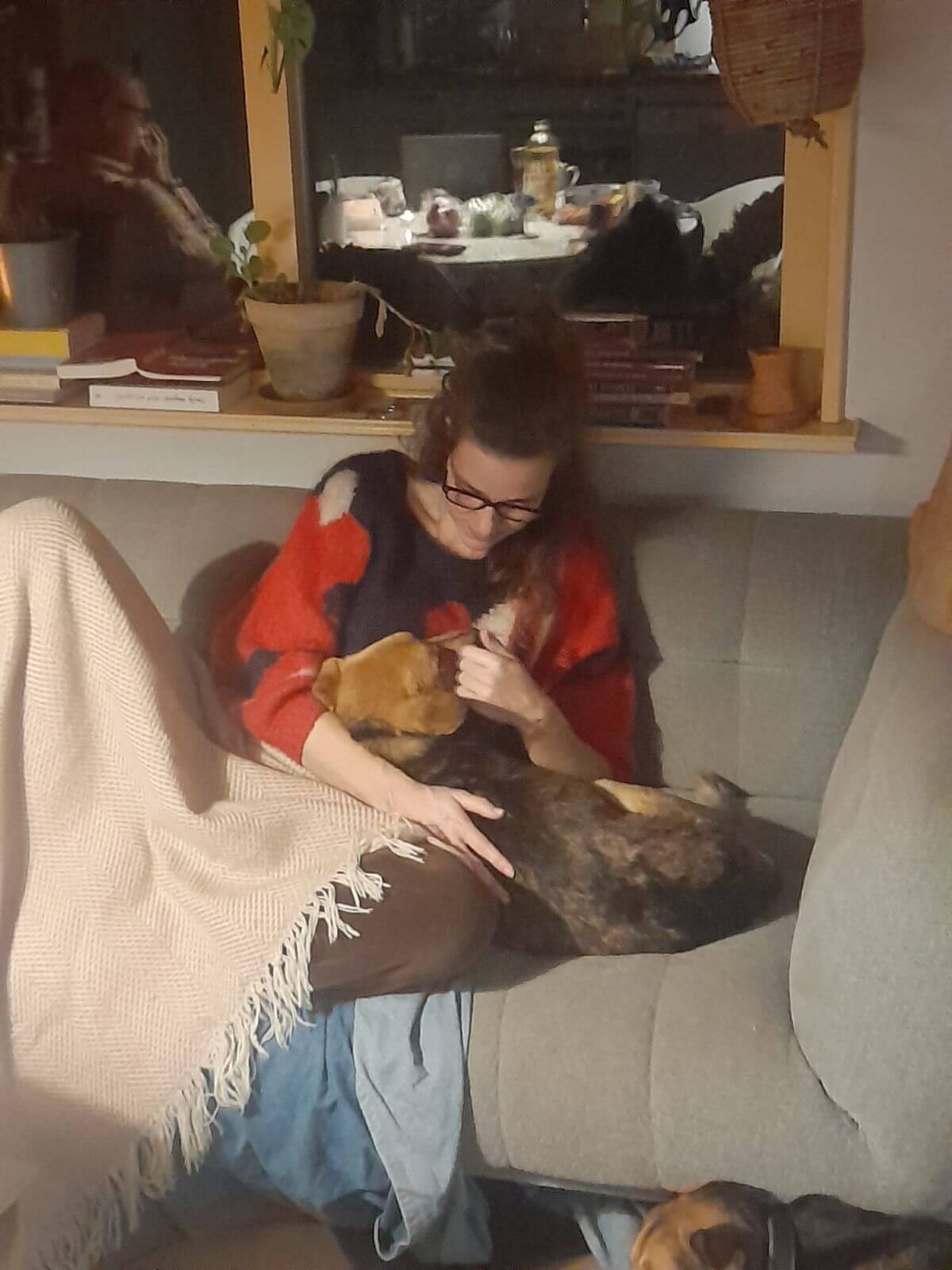 Benji kwam uit Roemenië en heeft twee mooie jaren gehad bij Lotte en Zev | Foto: Lotte van Leeuwen