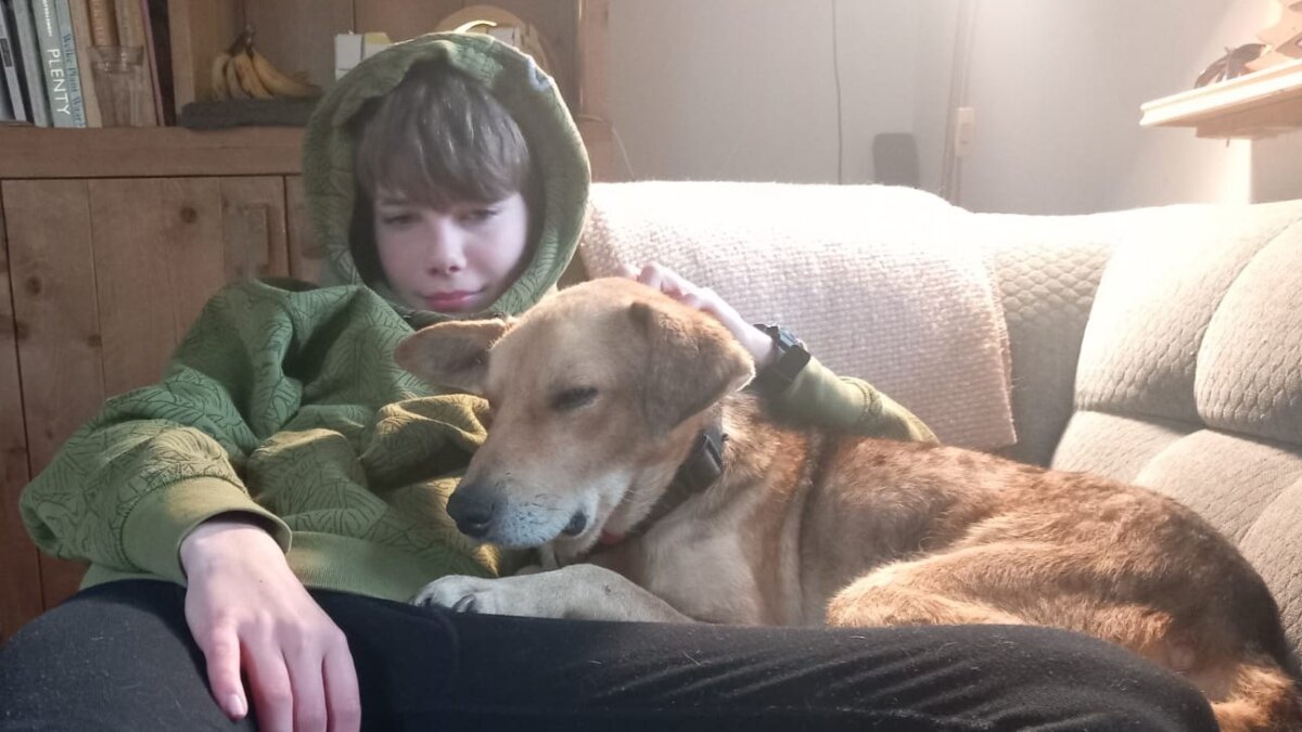 Hond Benji doodgeschoten door jager in Wapse