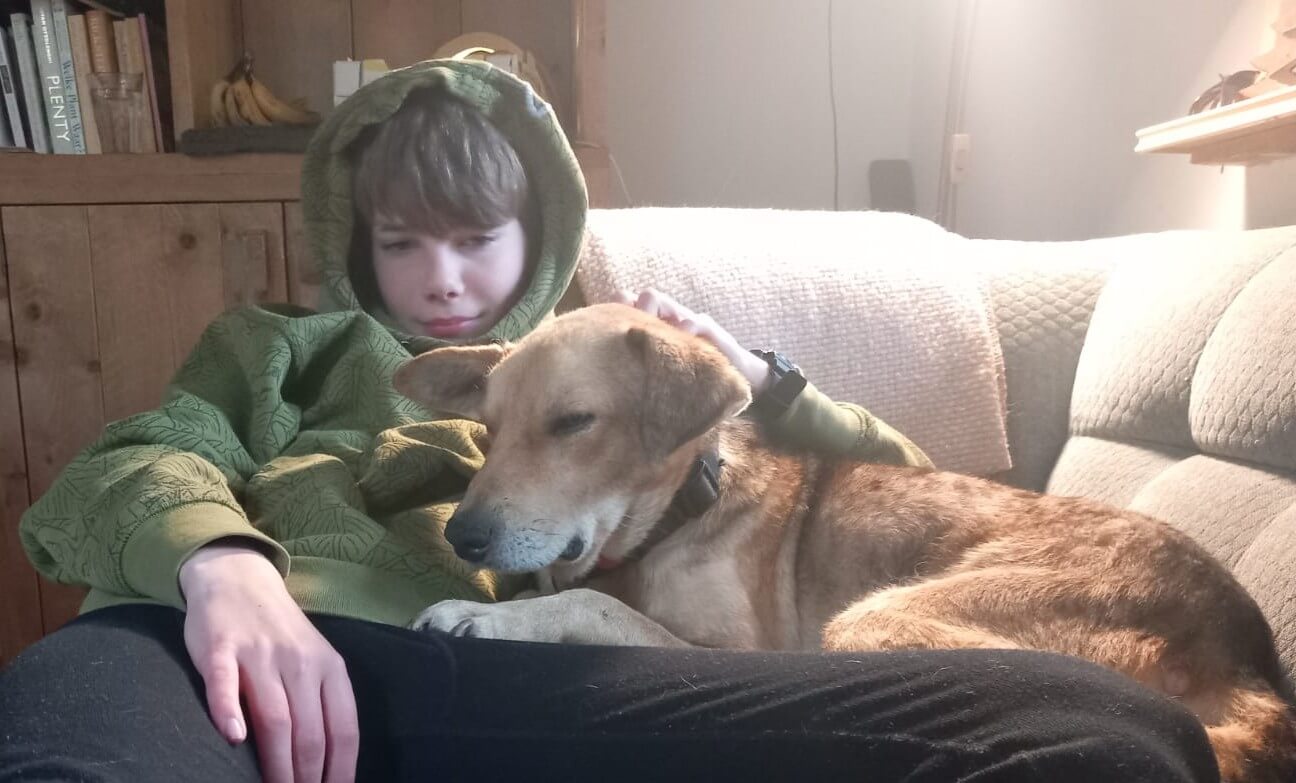 Hond Benji doodgeschoten door jager in Wapse