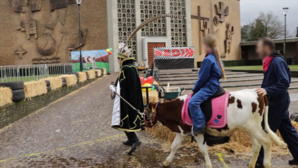 Waar schijt het kalf?