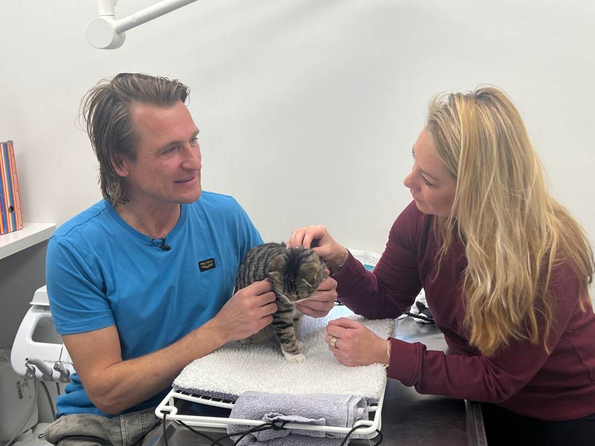 Foto: House of Animals