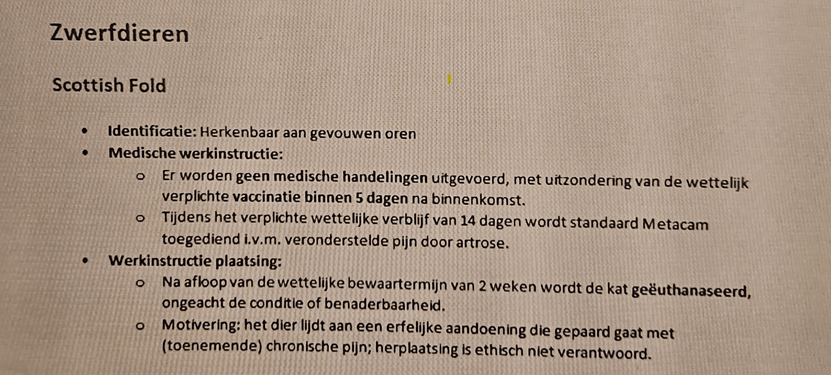Scottish folds die als zwerfdier binnenkomen worden binnen 14 dagen geëuthanaseerd
